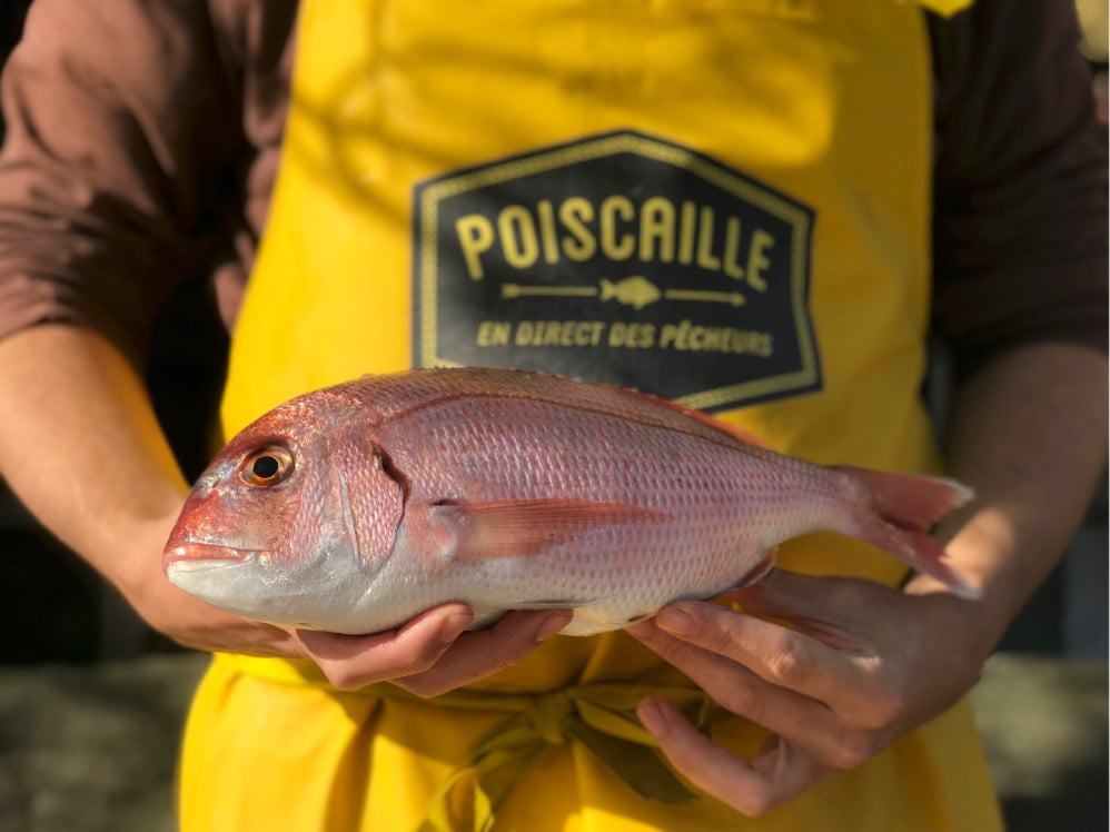 Poissonnier tenant un poisson frais dans les mains.