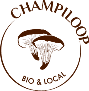 logo Champiloop