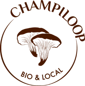 logo Champiloop