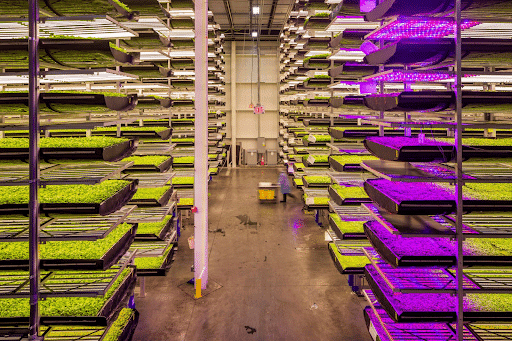 Ferme verticale AeroFarms