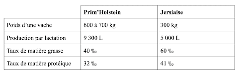 Comparaison sommaire entre la Prim’Holstein et la Jersiaise