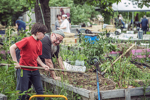 jardin partagé