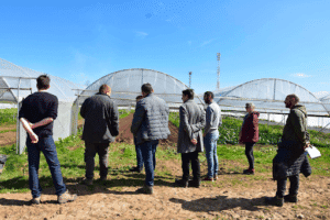 Visites de fermes