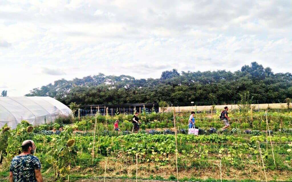 projet maraîcher d'edenn