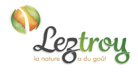 logo de Leztroy
