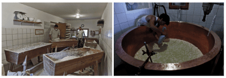 ferme collective