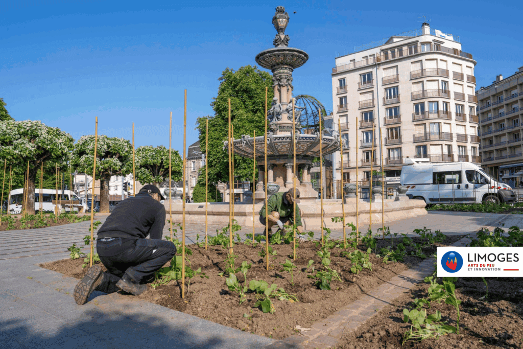 Limoges Ville Nourricière