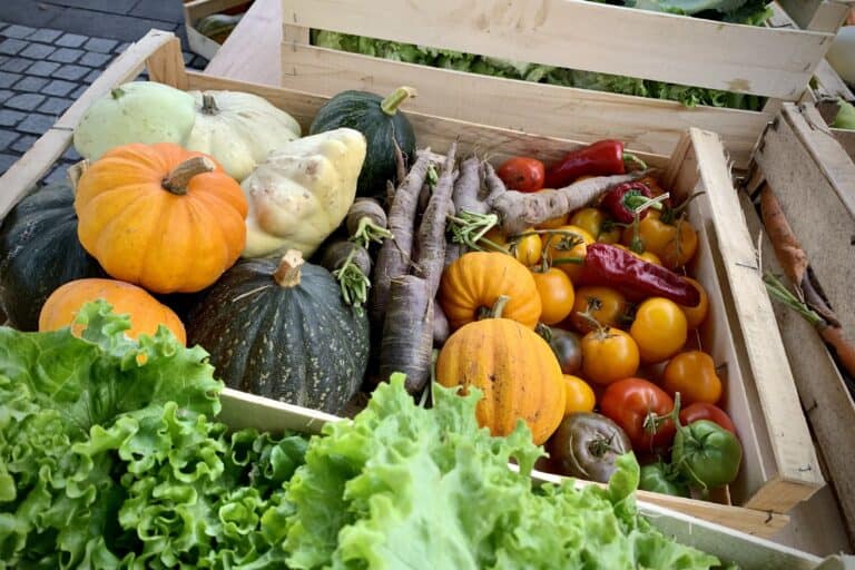 Source : Ville de Limoges