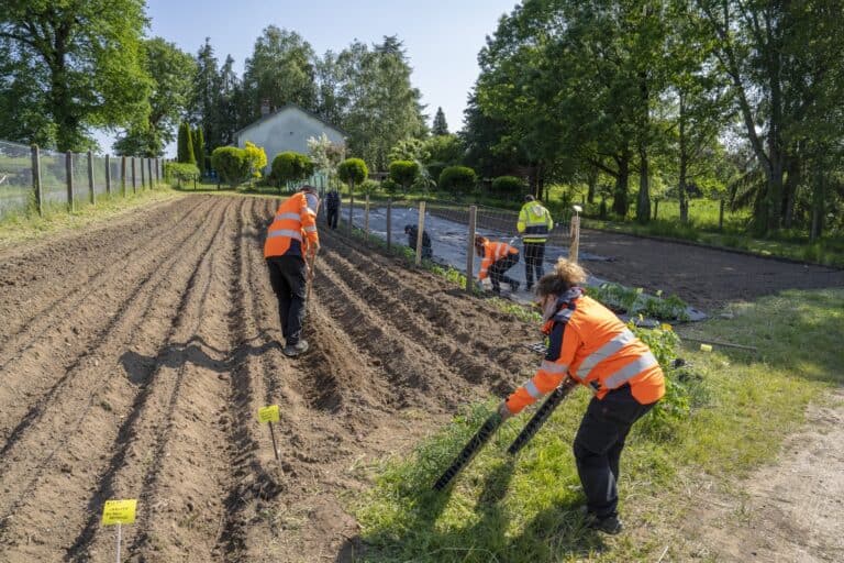 L’un des terrains exploités par la régie maraîchère municipale. Source : Ville de Limoges