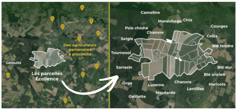 Vue des partenaires agriculteurs et des assolements de l’entreprise. Source : Écolience