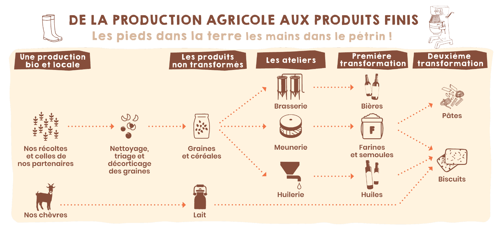 Une liaison directe et sans silos entre champs et ateliers. Source : Écolience