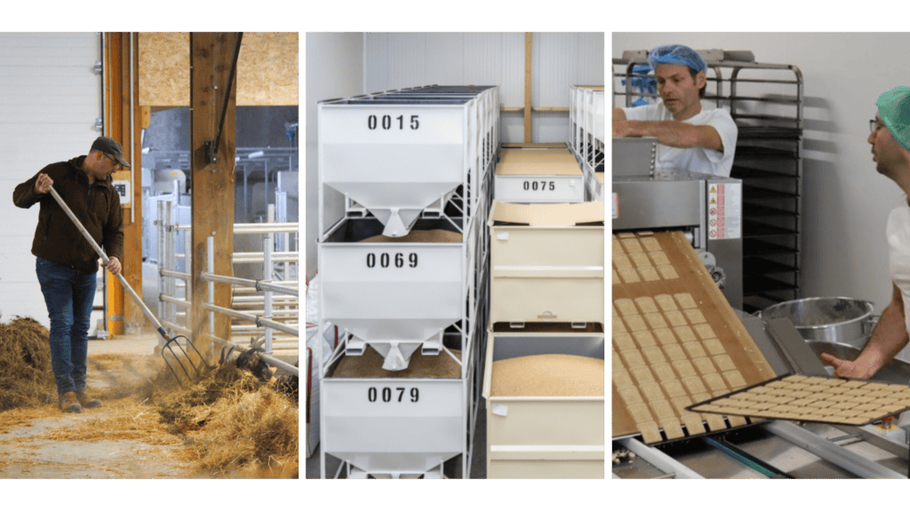 Production - triage - transformation : les trois piliers du projet. Source : Écolience