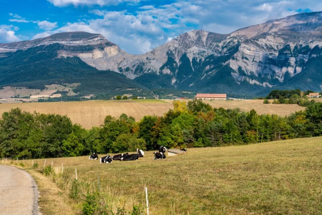 Landscape at Saint Baudille et Pipet, Trieves in Vercors, French Alps, France