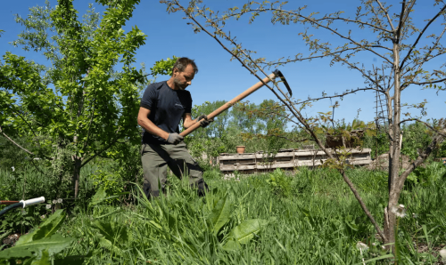 Agriculture urbaine