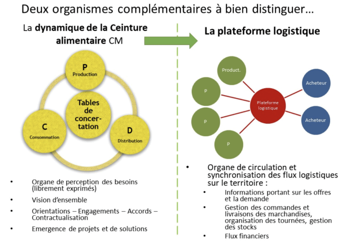 Ceinture alimentaire