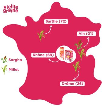 Développement vieille graine Développement vieille graine