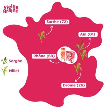 Développement vieille graine
