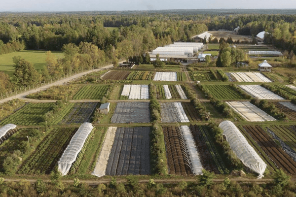 Exemple de ferme maraîchère bio-intensive - source : Institut Jardinier-Maraîcher