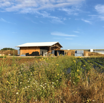 La ferme de l’Envol Ferme La ferme de l'Envol Ferme
