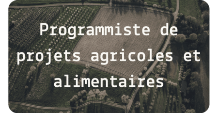 Programmistes