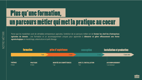 Schéma du parcours métier Cultive