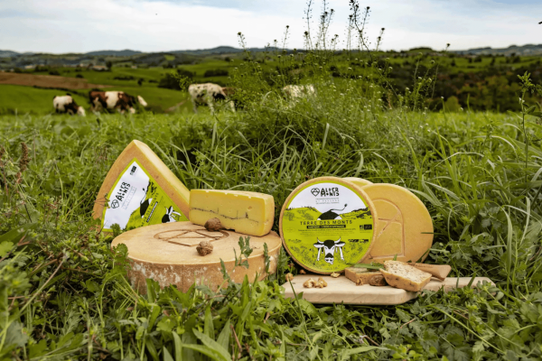 altermonts4 Les 4 types de fromages Altermonts (Source : Altermonts)