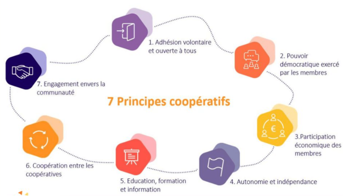 Les 7 principes coopératifs - Febecoop Wallonie Bruxelles