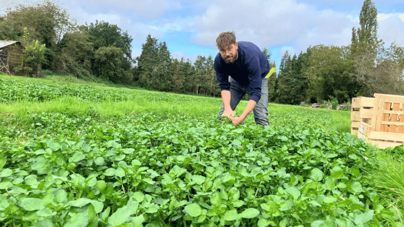 Matthew temps partiel agricole