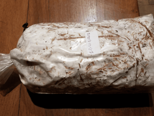 sac à champignons sac à champignons